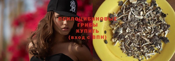 прущие крисы Белокуриха