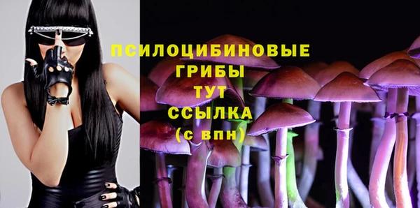 прущие крисы Белокуриха